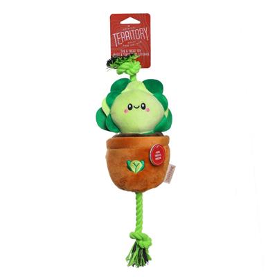 Lettuce Treat-and-Tug Dog Toy